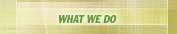 what we do - linda b rule