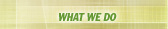 what we do - linda b rule